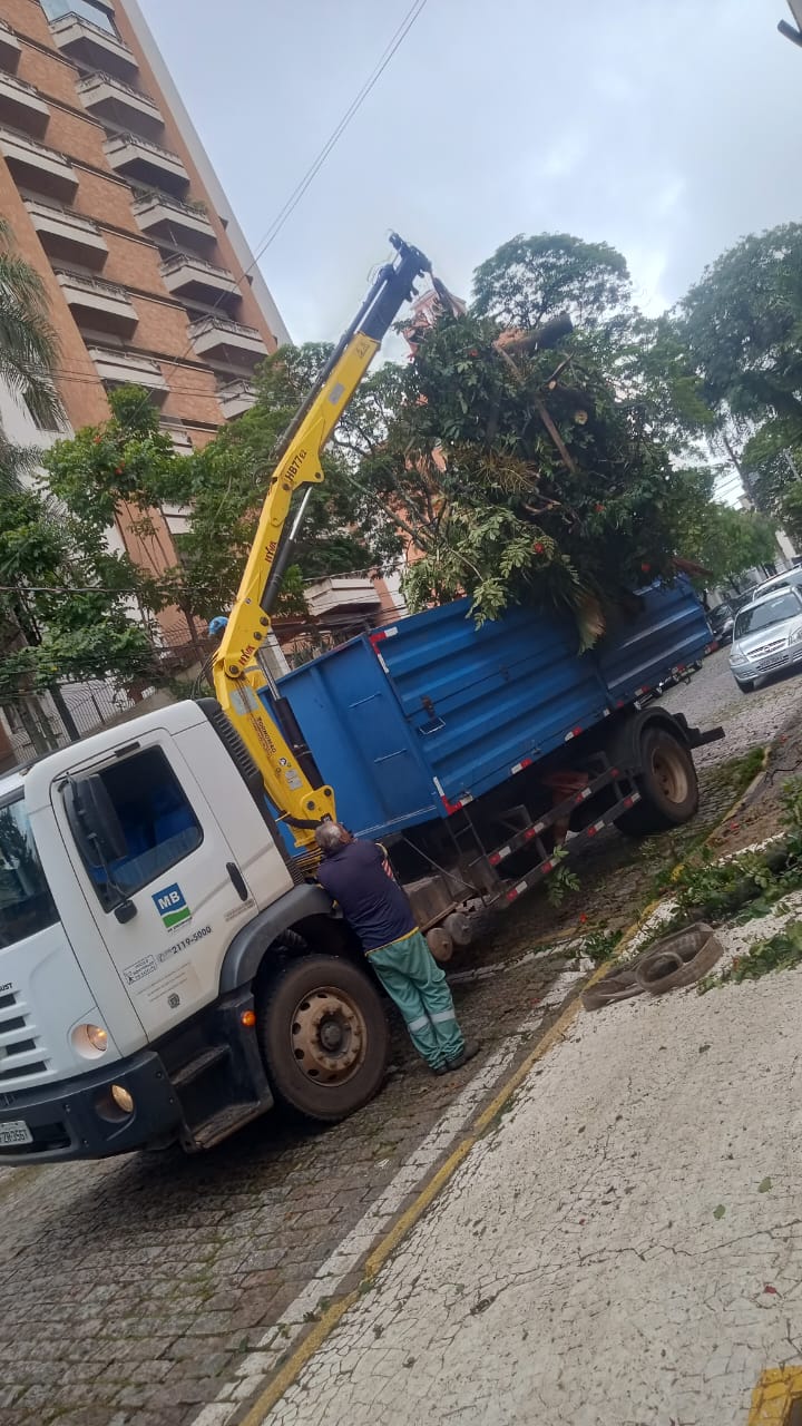 Divulgação Equipes da Prefeitura trabalhando na retirada de galho de árvore na rua Joaquim Novaes
