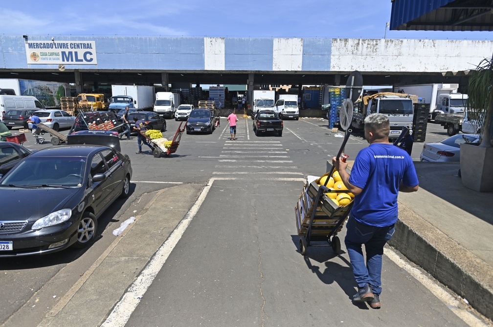 Rogério Capela/PMC Atualmente, na Ceasa Campinas cerca de 370 trabalhadores atuam como carregadores autônomos