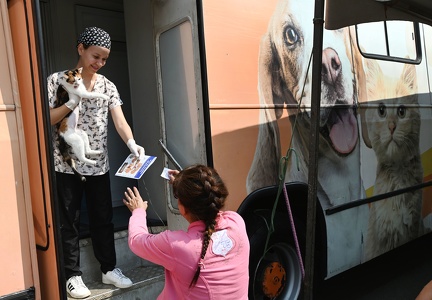 Arquivo PMC A castração assegura melhor qualidade de vida e longevidade aos animais.