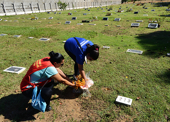 Enfeites e celofane de vasos são retirados