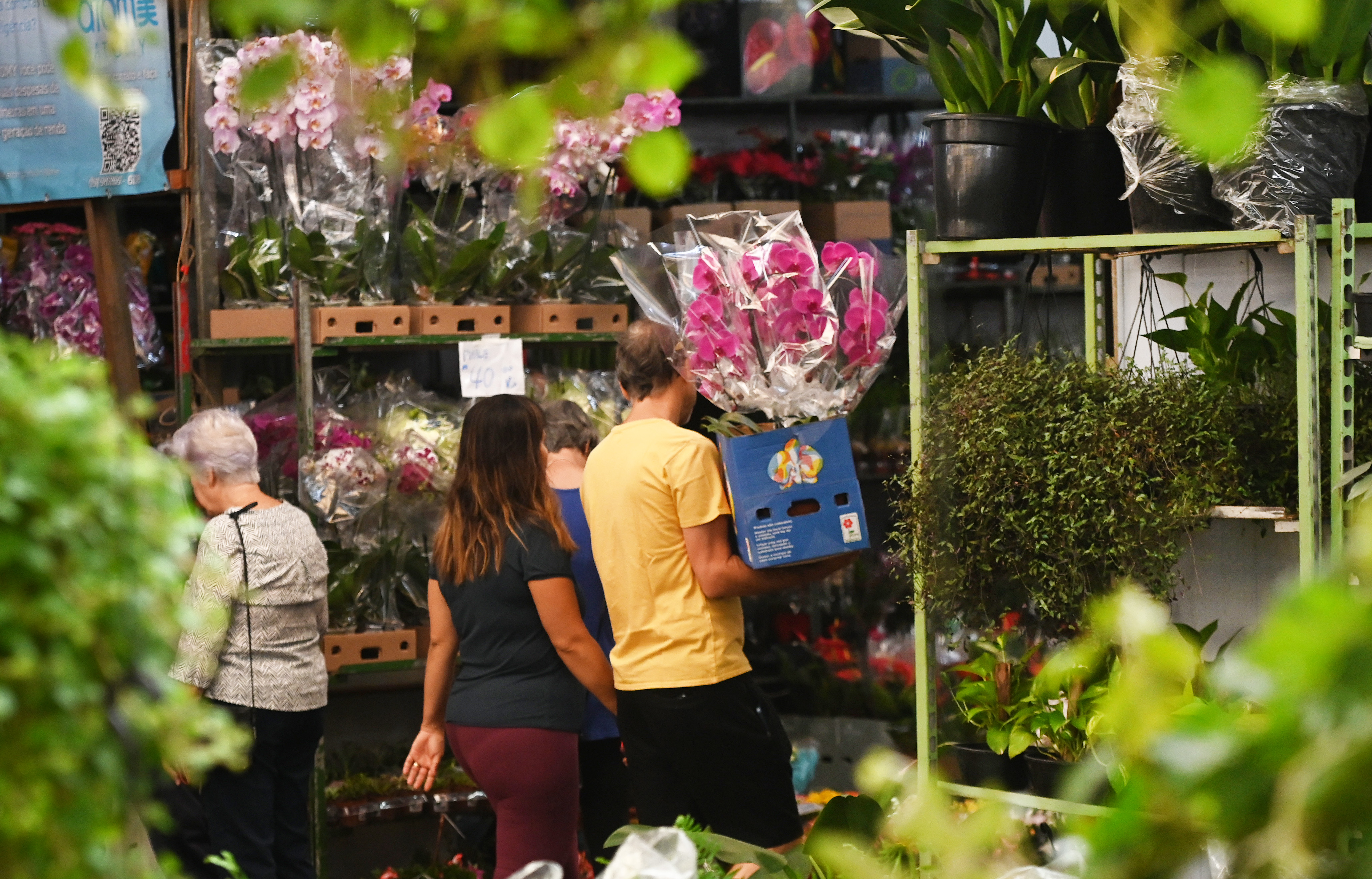 Flores de corte estão com preços menores