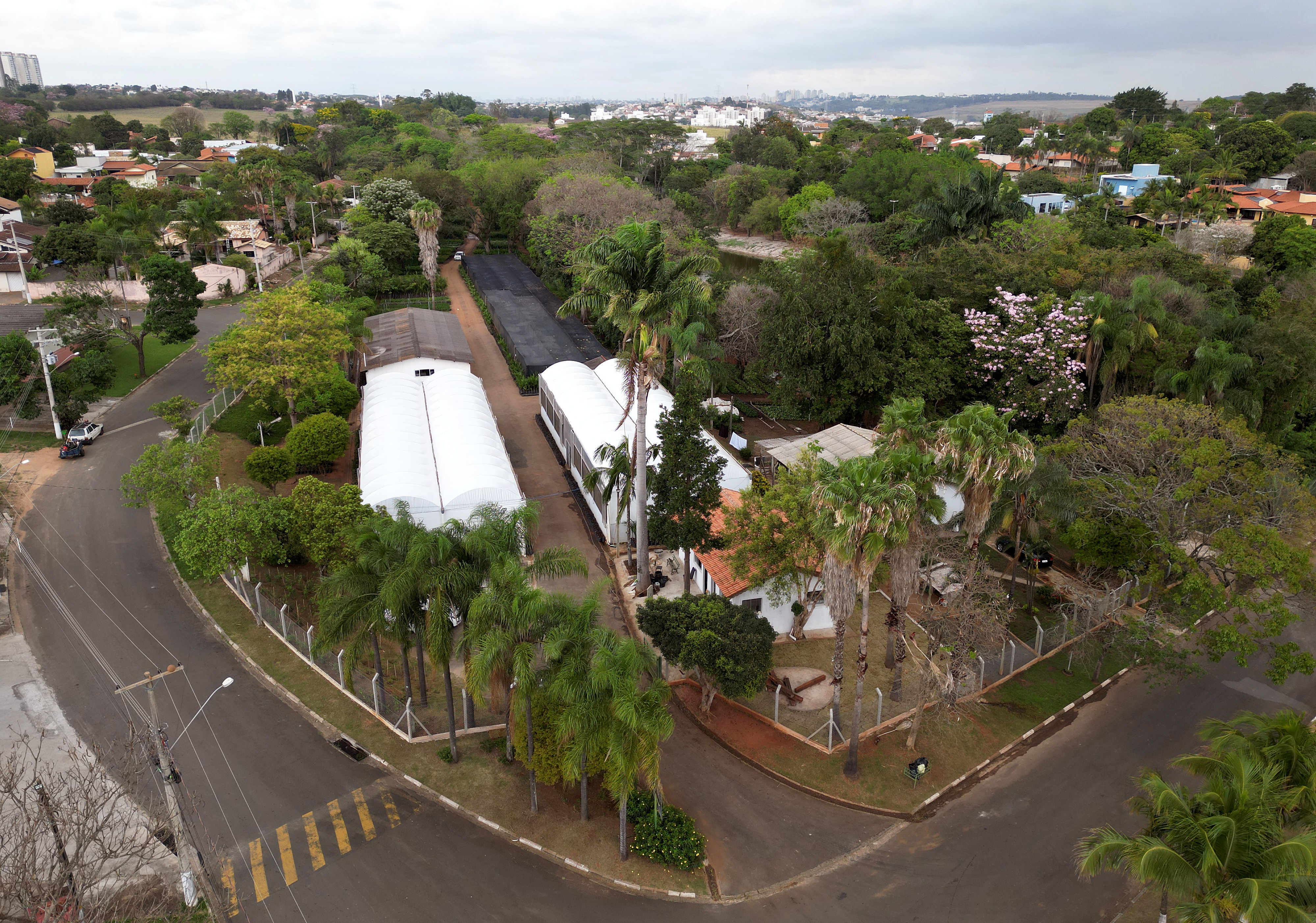 Flores são produzidas