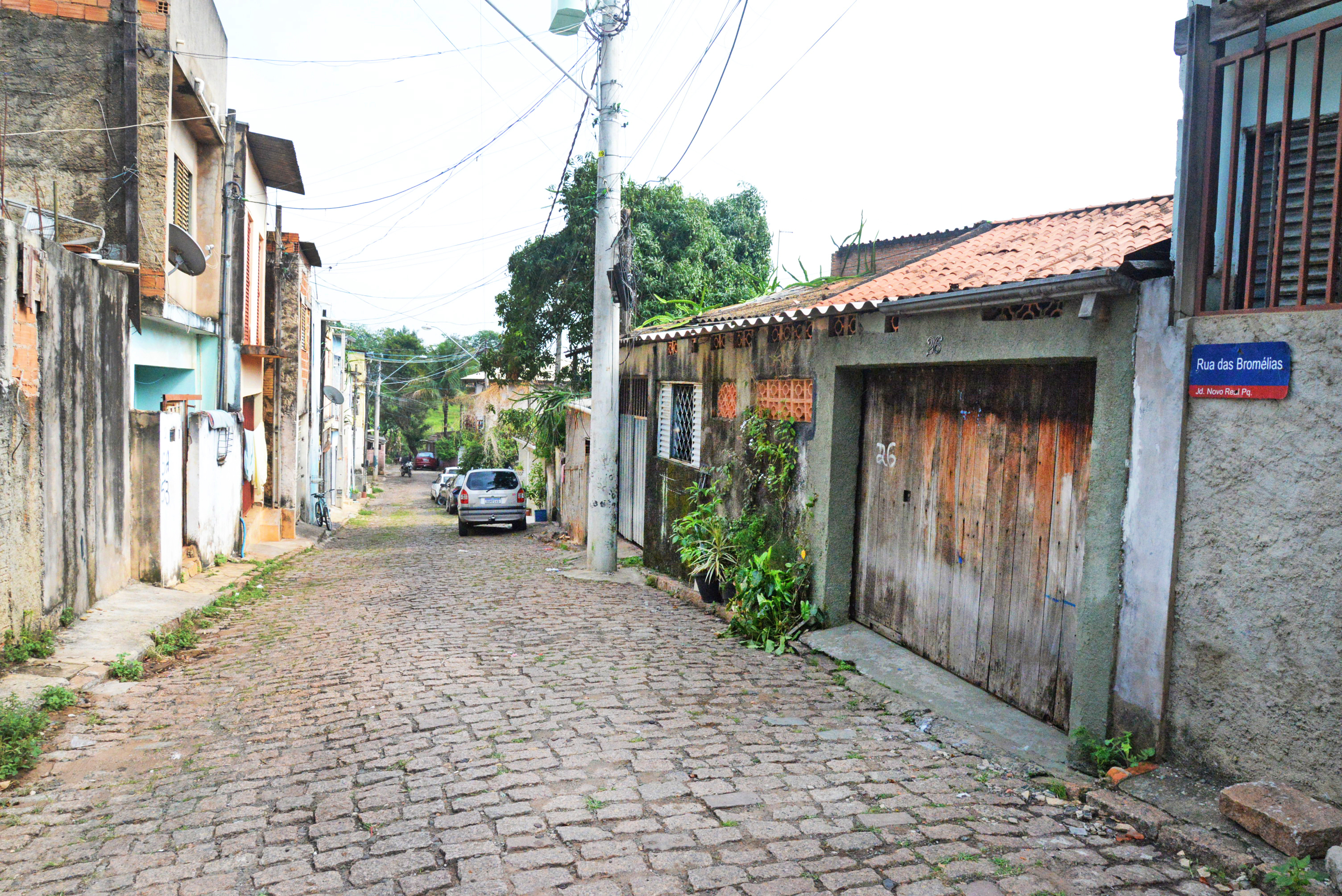 Bairro tem ruas com nomes de flores: Gladíolos, Zínias, Begônias, Crisântemos, Antúrios, Bromélias