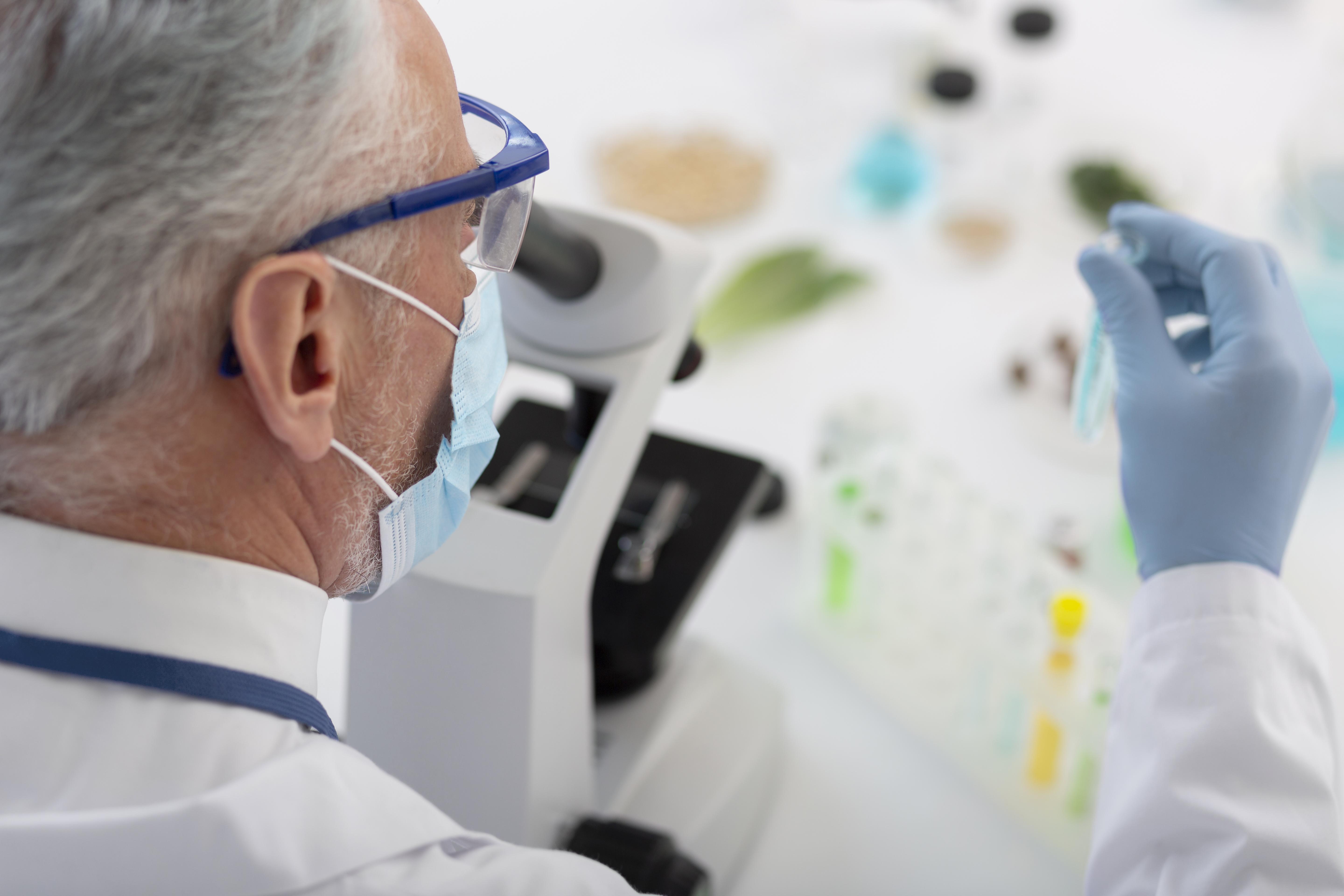 Freepik/Divulgação No mutirão, haverá gratuitamente, serviços como teste de DNA, reconhecimento de paternidade, tentativa de Acordo ou orientações em Direito de Família