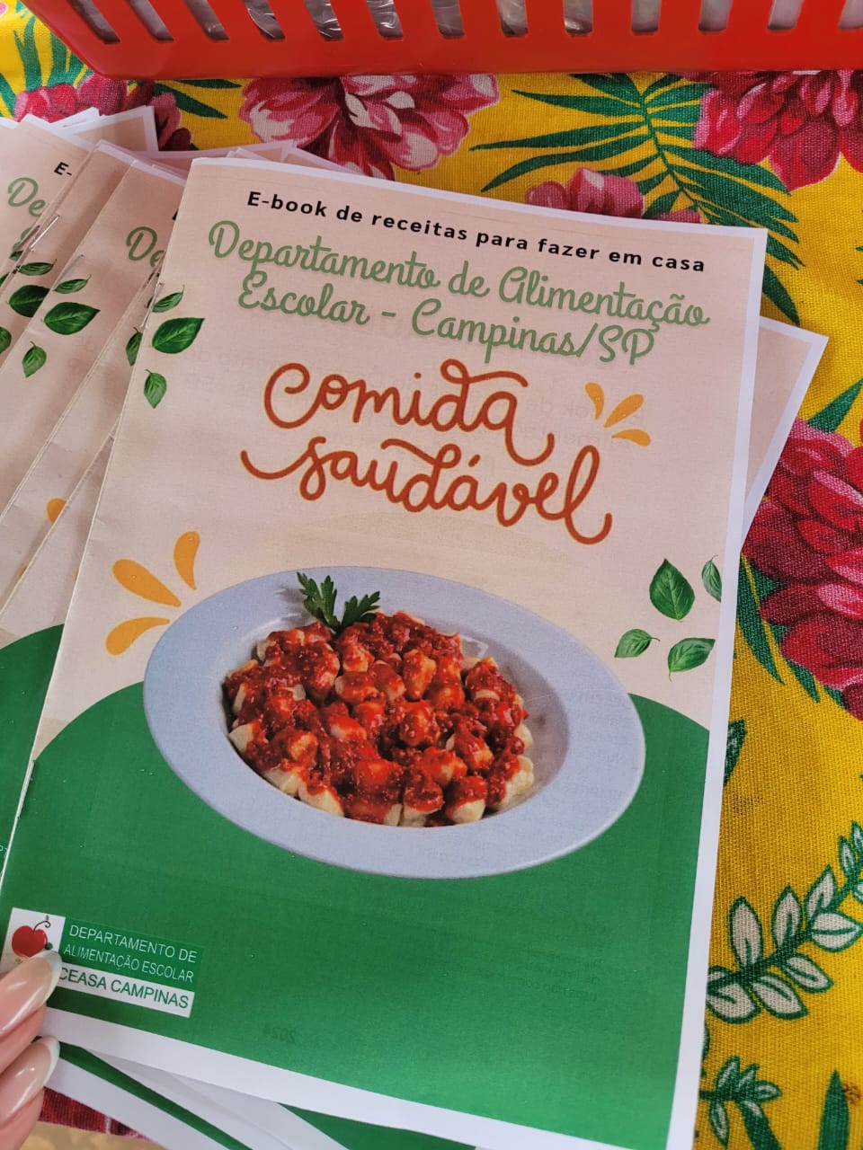 Profissionais elaboraram um e-book com receitas simples, acessíveis e saudáveis