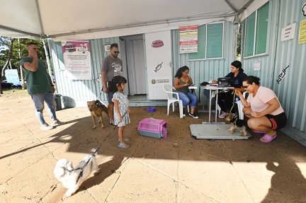 Programa promove consultas, vacinação e microchipagem gratuitas de cães e gatos