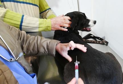 Rogério Capela O atendimento nos Consultórios Móveis é feito por ordem de chegada, com distribuição de senha, sem necessidade de agendamento prévio