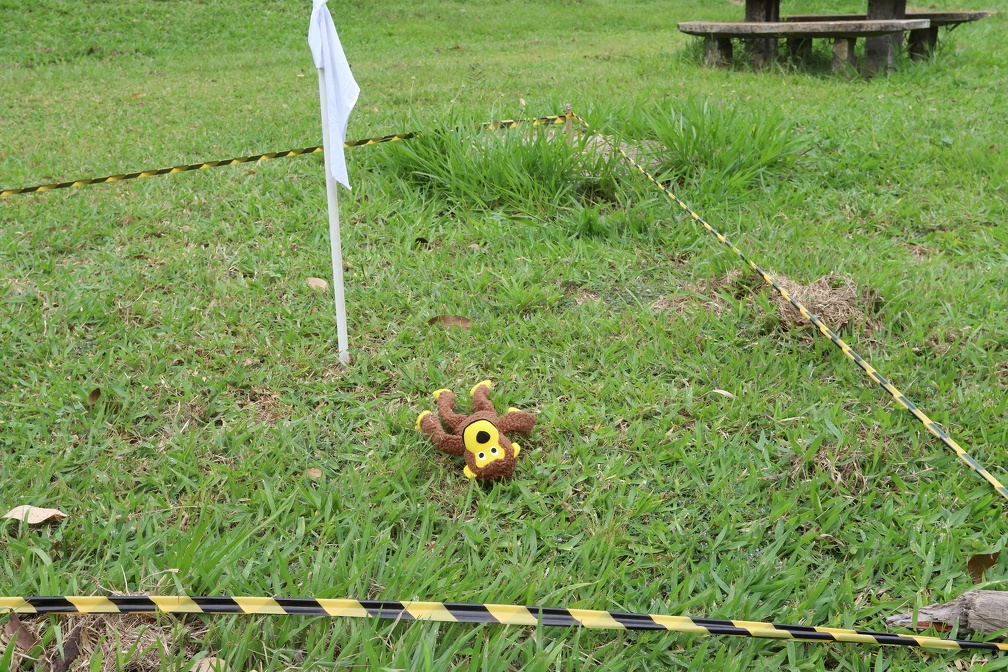 Quando um animal morto é encontrado, o local é delimitado para determinar a circulação do vírus