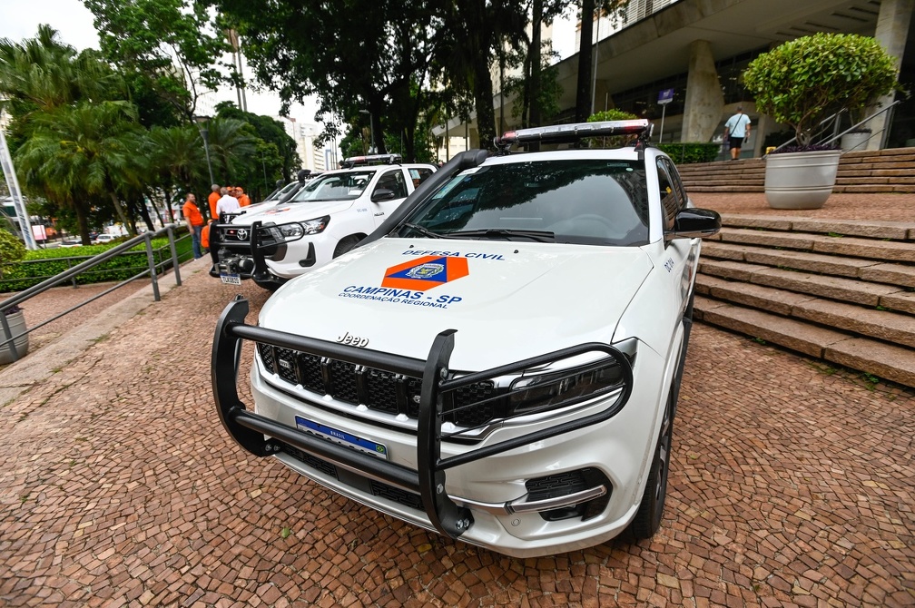 Rogério Capela Modelos incluem picapes, SUVs e veículos sedan