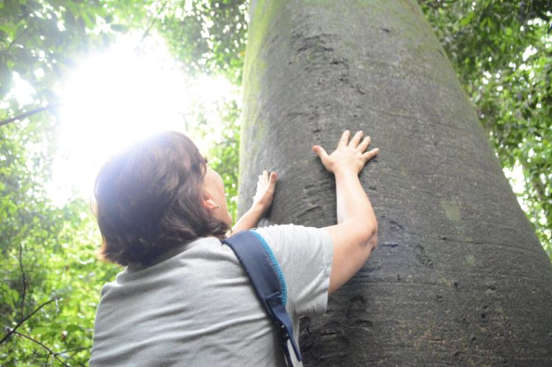 Visitantes têm contato direto com o verde da mata atlântica