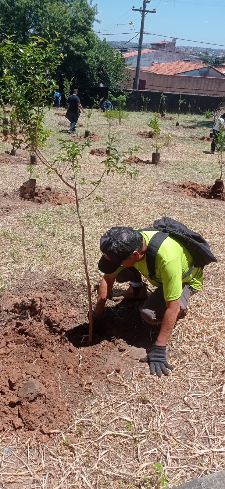 Foram plantadas espécies de uvaia, jabuticaba, pitanga e cerejeira entre outras