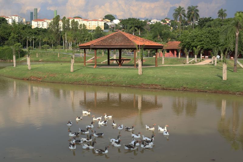 Aves exóticas e uma área arborizada integram a paisagem