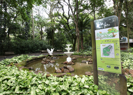 Os parques funcionam todos os dias, exceto o Bosque dos Jequitibás (foto), que permanece fechado às segundas-feiras.