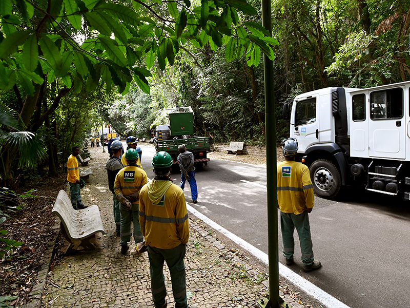 Bosque está fechado desde o dia 24 de janeiro