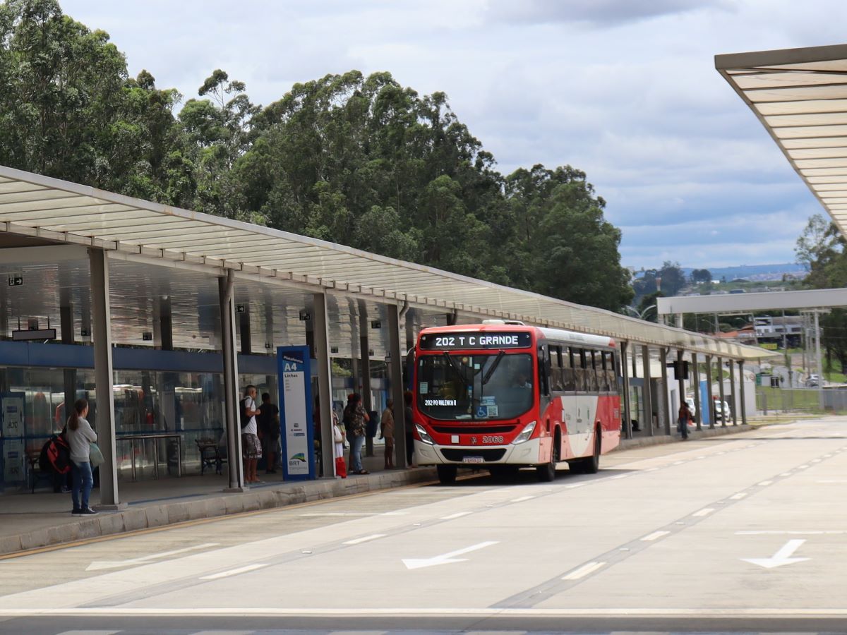 As linhas 202 e 206 são circulares e alimentadoras