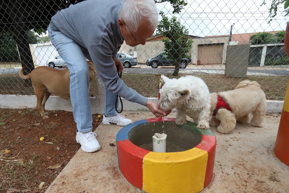 Depois da brincadeira, é hora de se refrescar