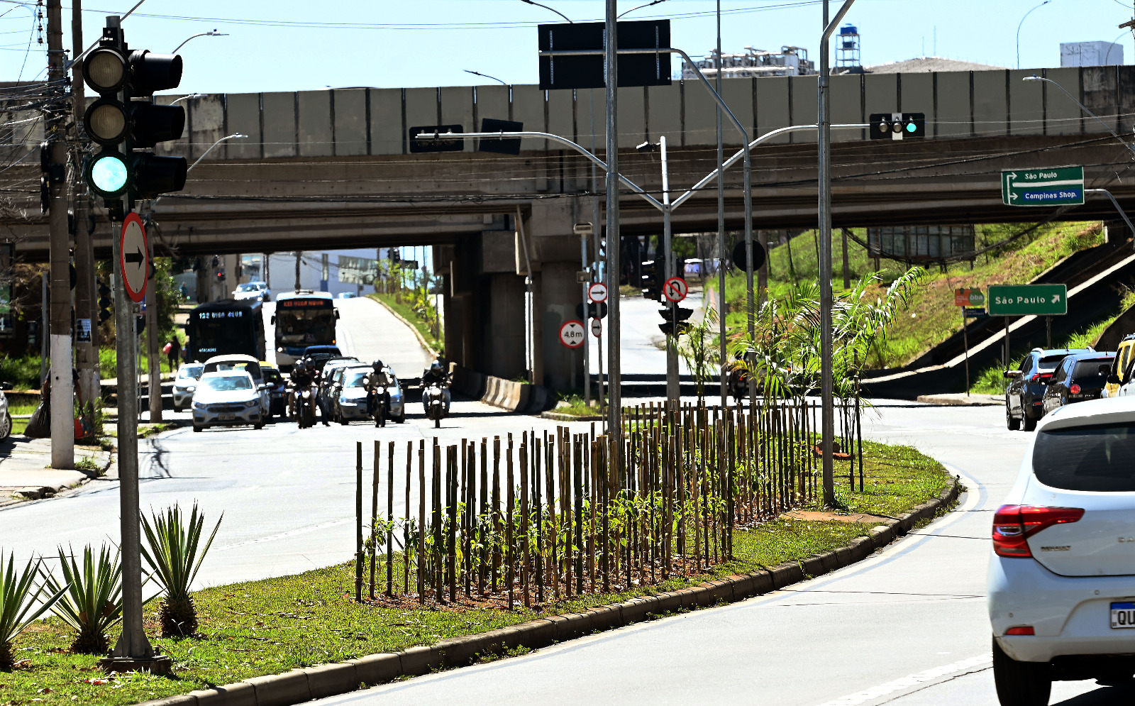 Até o momento, 1.500 mudas já foram plantadas ao longo das vias