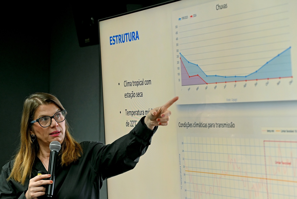 A diretora do Devisa de Campinas, Andrea von Zuben, durante apresentação