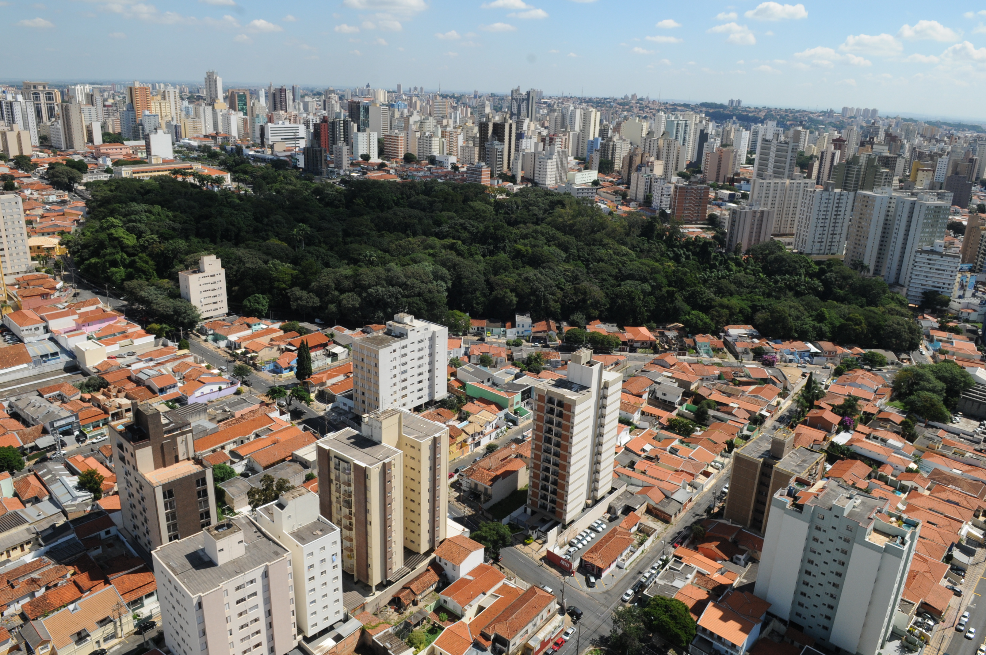 Colegiado tem caráter consultivo com objetivo de estudar e propor diretrizes para a formulação e a implementação da política municipal de desenvolvimento urbano sustentável