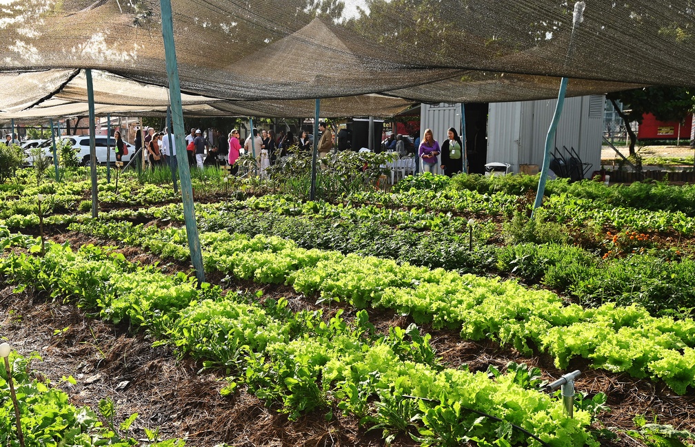 Carlos Bassan Produção da terra reforça a alimentação com produtos saudáveis