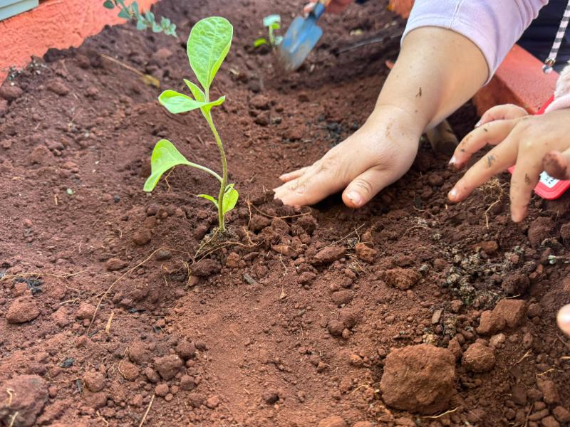 As mãozinhas na terra ajudam no aprendizado