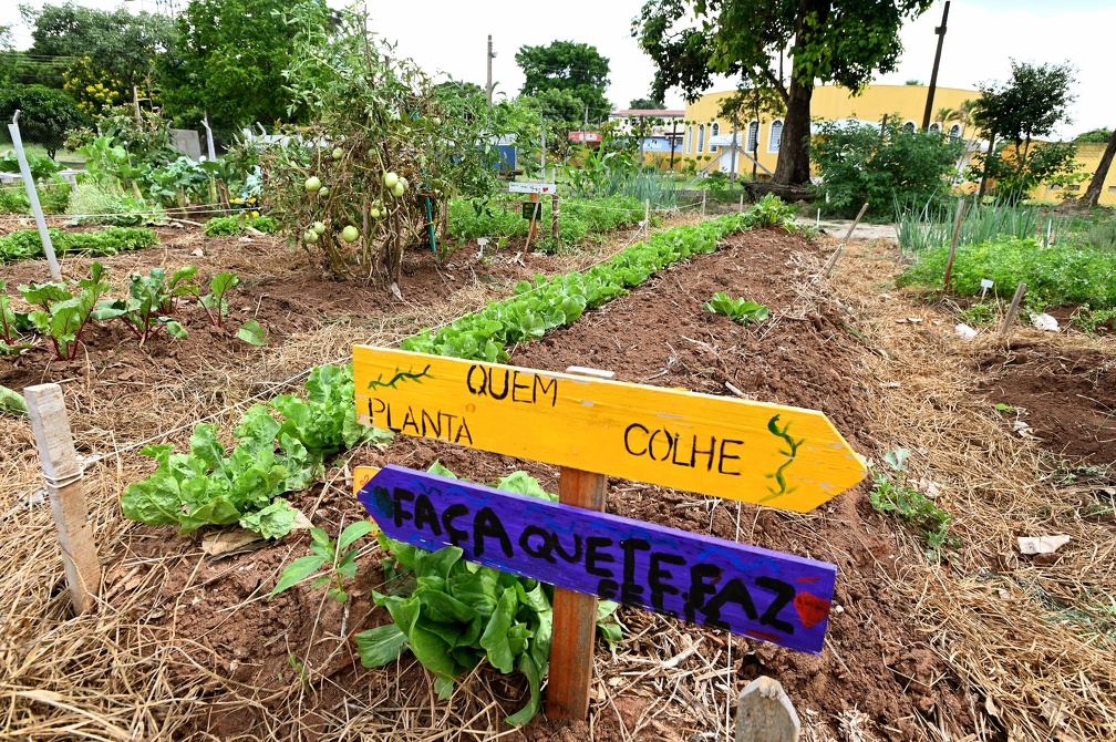 Coordenado pela Secretaria de Desenvolvimento e Assistência Social, o programa envolve 12 secretarias municipais