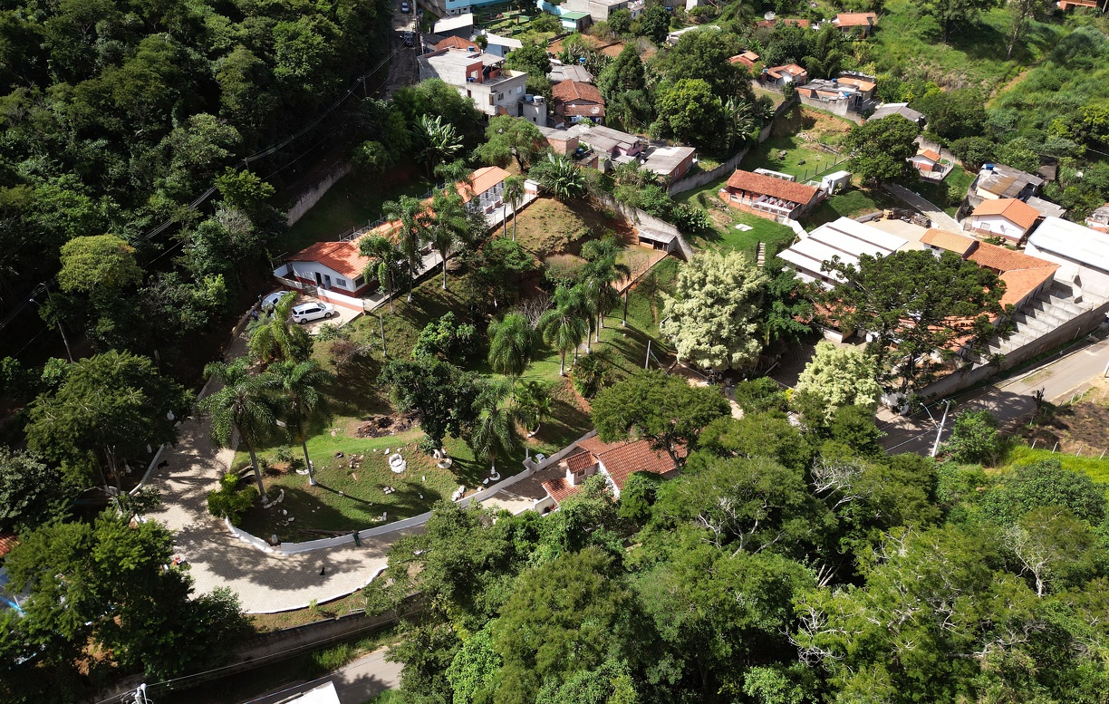 Animais estão abrigados em área verde com muito espaço