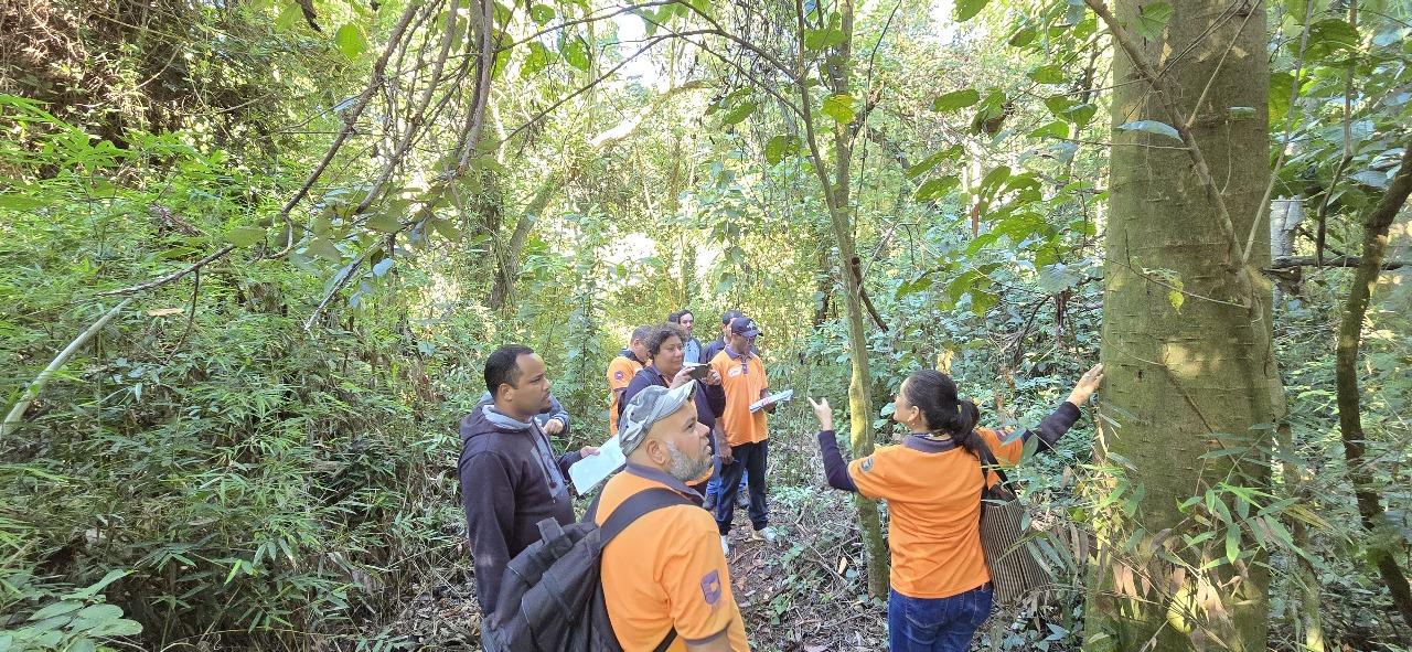 Divulgação Estudantes conhecem possibilidades de uso de espécies nativas em projetos paisagísticos
