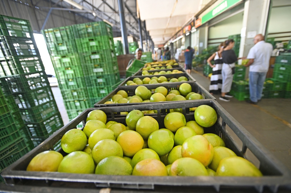 Os preços das frutas brasileiras registraram queda média de 11,1% na semana de 4 a 11 de agosto, segundo levantamento do Sacolômetro da Ceasa