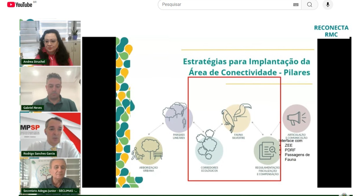 Divulgação Além das fronteiras: RMC discute desafios ambientais regionais em live no Dia do Meio Ambiente