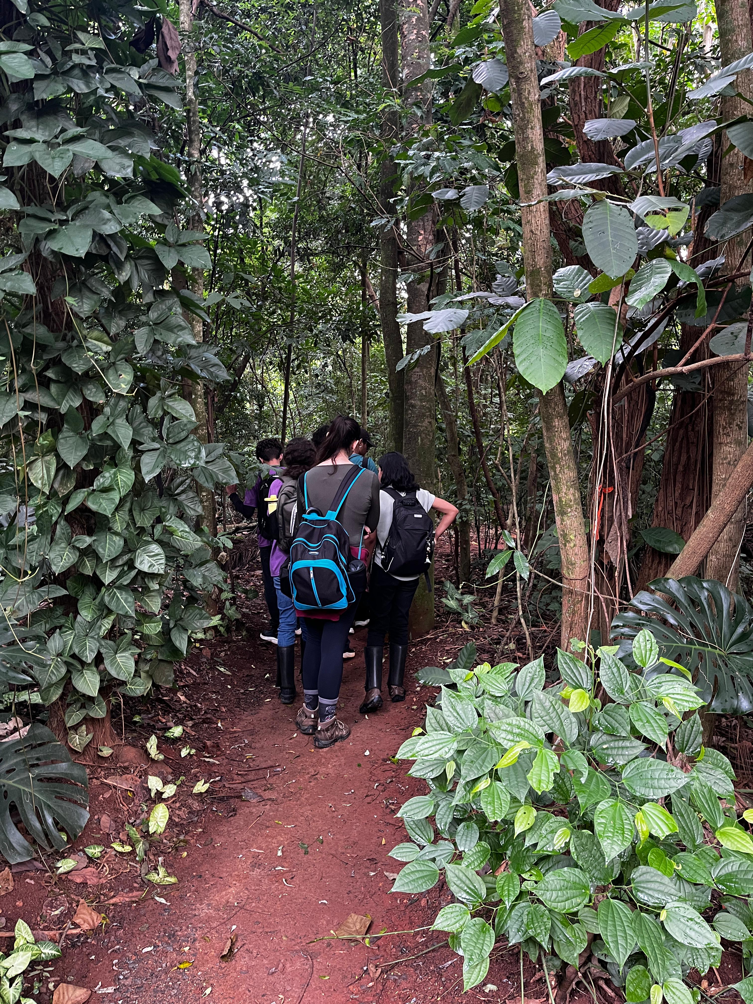 Divulgação Muitos alunos não são de Campinas e desconheciam a Mata