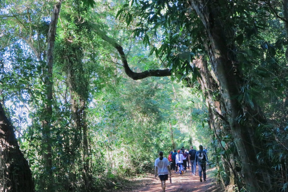 Firmino Piton Há vagas para caminhada pela Mata de Santa Genebra que será no sábado, 7 de junho