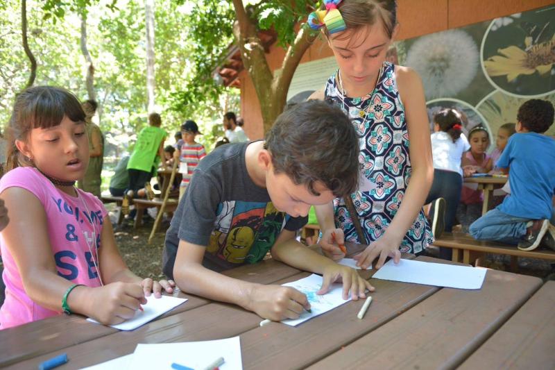 Atividades são ótimas opções de distração e aprendizado  em meio à natureza durante o período de descanso da escola