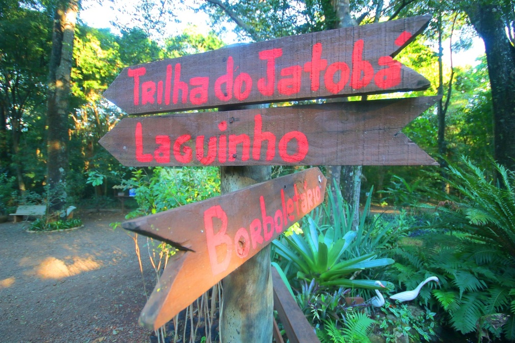 Entre os roteiros para passeios estão a Trilha do Jatobá, Borboletário, viveiro de mudas nativas, Mini Pantanal Sanã, Meliponário, Contorno da Floresta, e outros