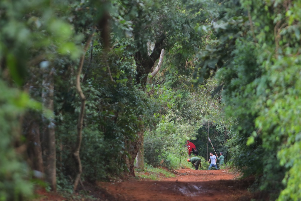 Divulgação/PMC O Dia Nacional da Mata Atlântica, em 27 de maio, destaca a importância desse bioma que é um dos mais ricos do mundo em biodiversidade e também um dos mais ameaçados