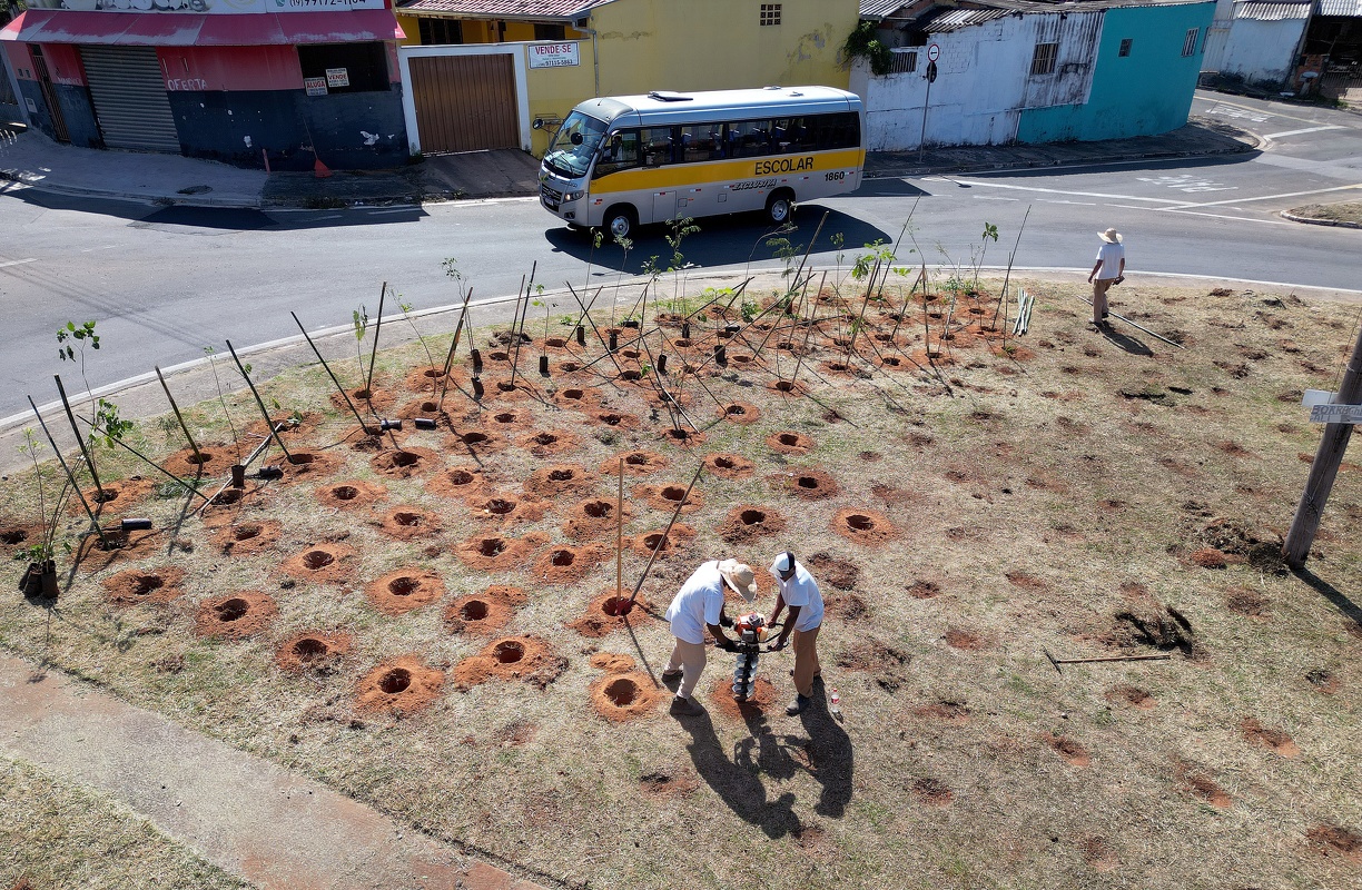 Carlos Bassan/PMC A sétima área verde está sendo plantada no Parque Floresta, no distrito do Campo Grande