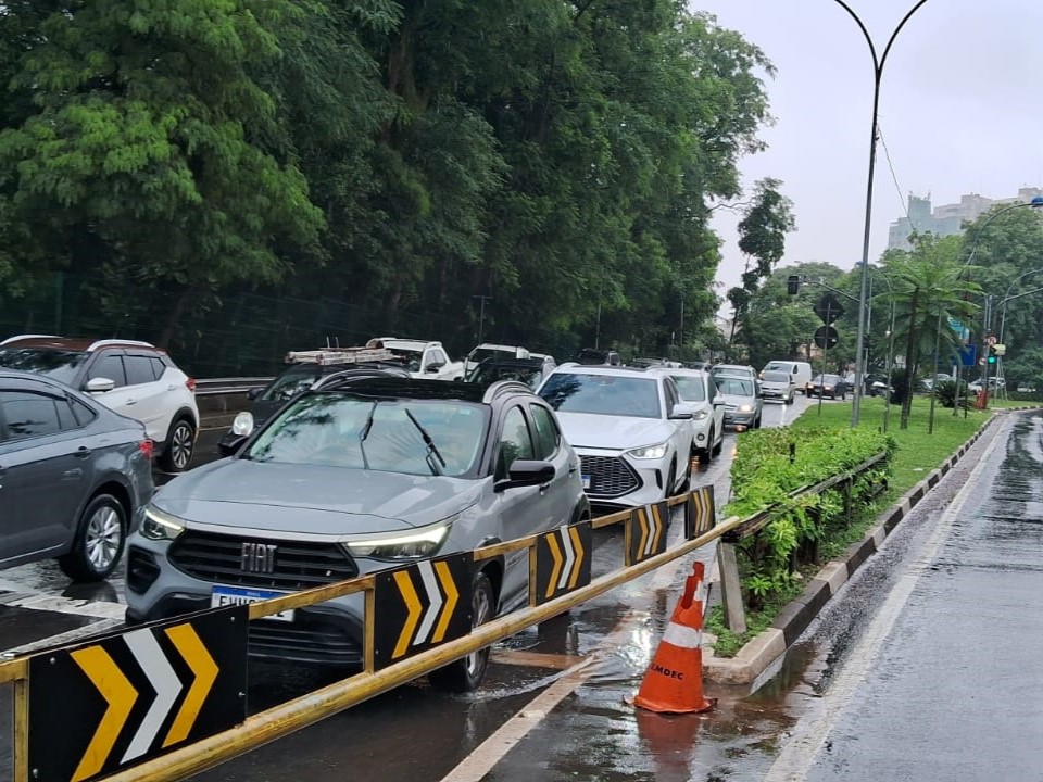 Medidas visam reduzir a circulação de condutores nessas regiões arborizadas, diminuindo o risco de acidentes provocados por quedas de árvores