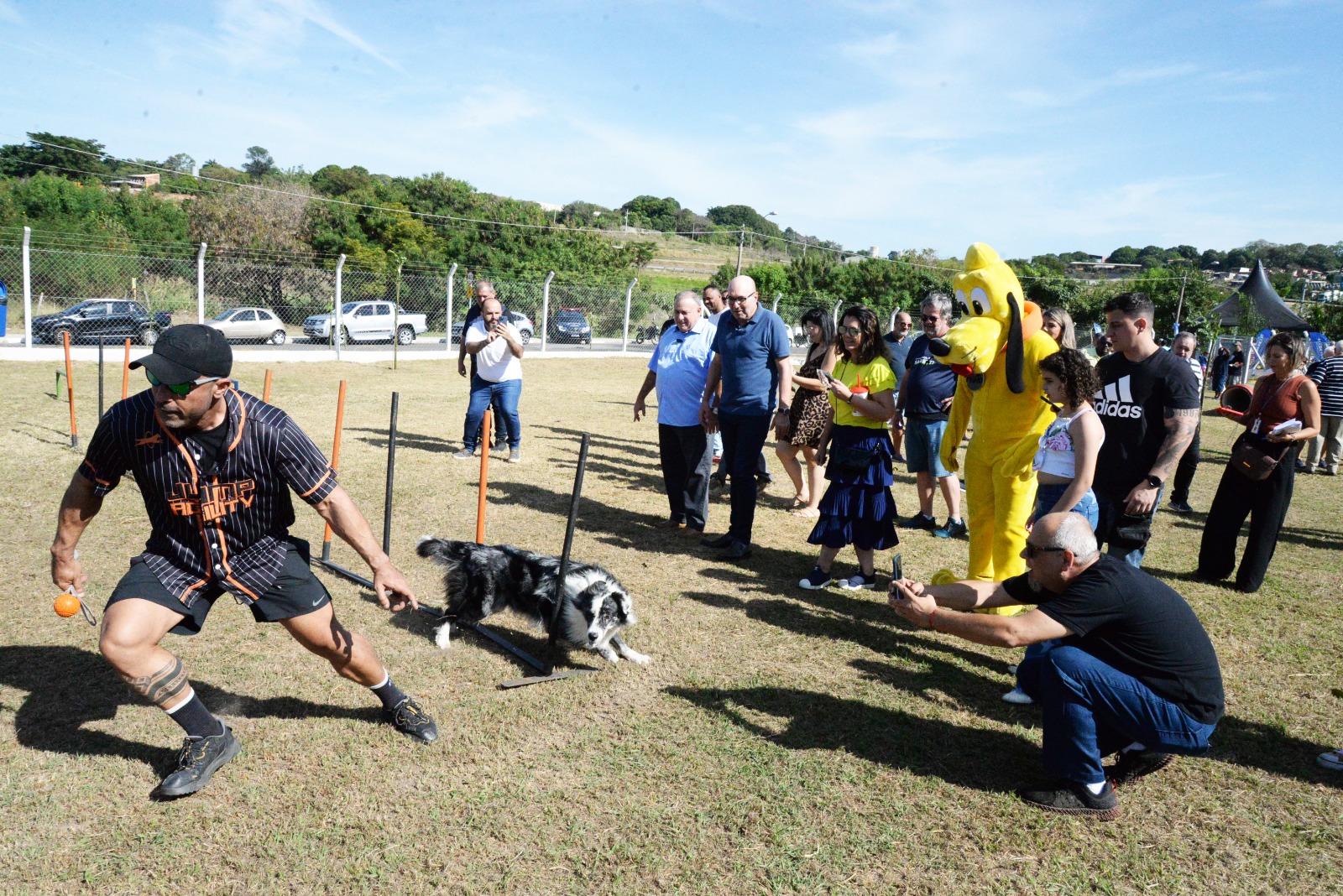 Parcão é espaço projetado para a diversão de pets e seus tutores