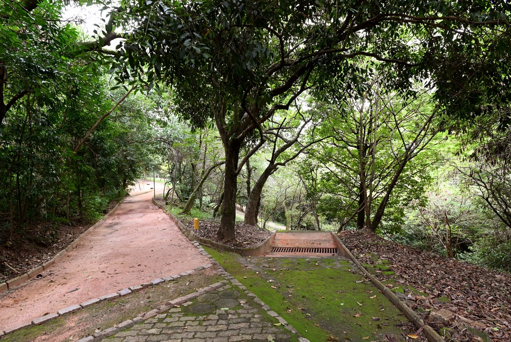 A nascente do Parque dos Guarantãs serviu de inspiração para o músico compor uma canção e dar nome à apresentação