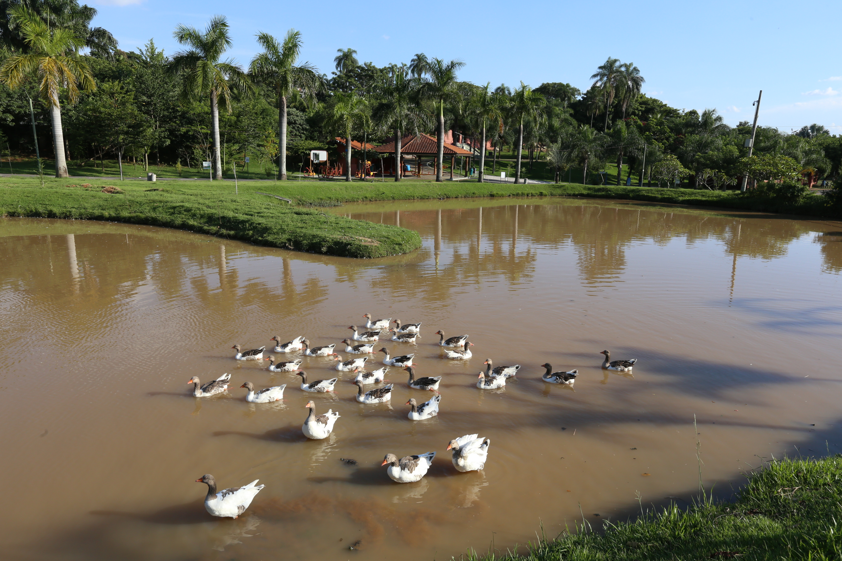 Adriano Rosa/PMC A programação começa neste sábado e vai reunir contação de histórias e apresentações teatrais, plantio de sementes e mudas, roda de capoeira, visitas ao Museu da Água, aulas de ginástica e zumba e atividades esportivas