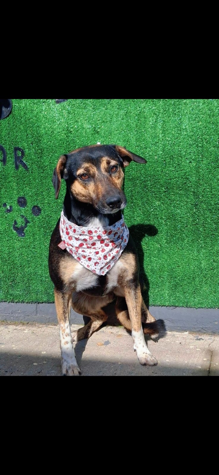 Jussara, 4 anos