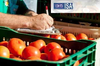 Programa tem 31.609 pessoas cadastradas para receber os alimentos semanalmente