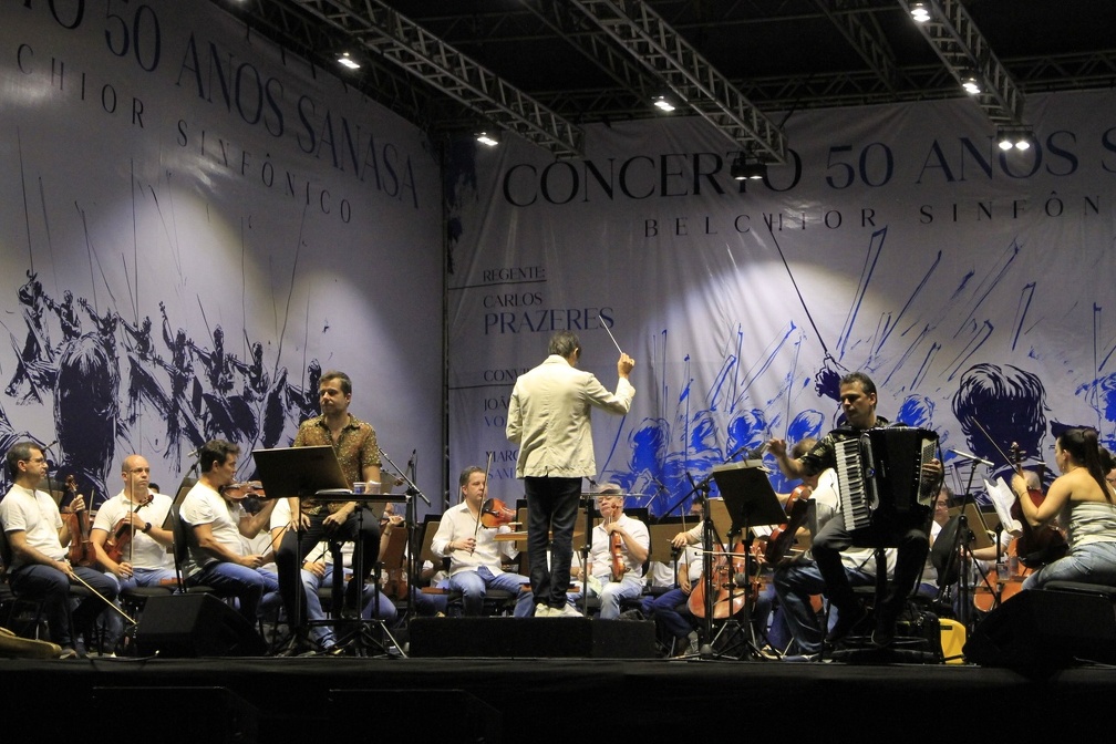 Orquestra Sinfônica: um professor de Orquestra cordas/Tuti Violino