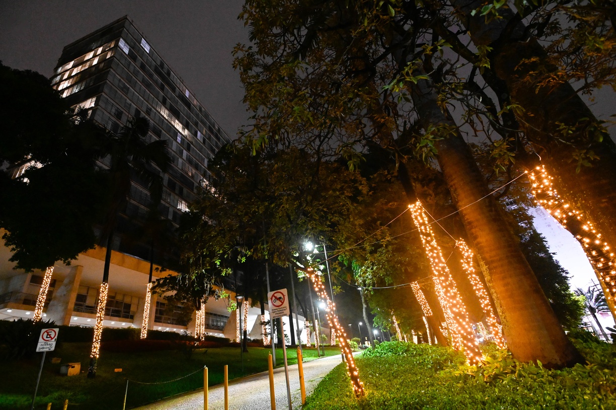 Jardim do Paço Municipal iluminado com luzes natalinas 